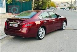 نيسان ماكسيما